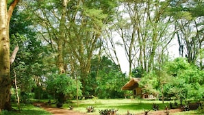 Garden - Migunga Tented Camp (Lake Manyara National Park)