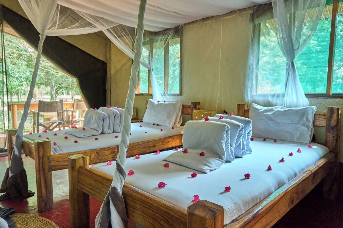 Quarto com quatro camas de madeira, cada uma com roupa de cama branca e pétalas de rosa.
