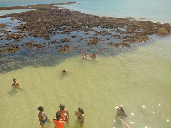 View from property - Pousada dos Girassóis (João Pessoa)