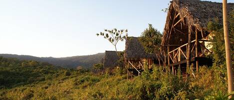 Deluxe Tent, Garden View | Property grounds