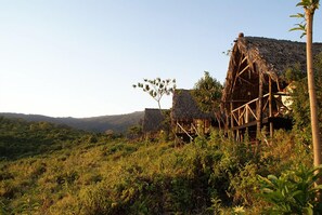 Tente Deluxe, vue jardin | Enceinte de l’hébergement