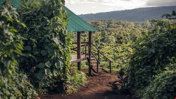 Tente Deluxe, vue jardin | Vue sur le jardin