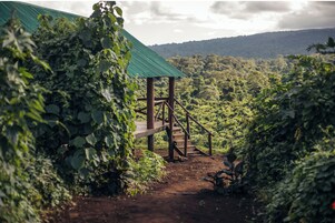 Tienda Deluxe, vistas al jardín | Vistas al jardín