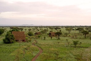 Garden - Robanda Safari Camp (Serengeti)