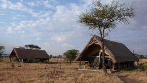 Safari