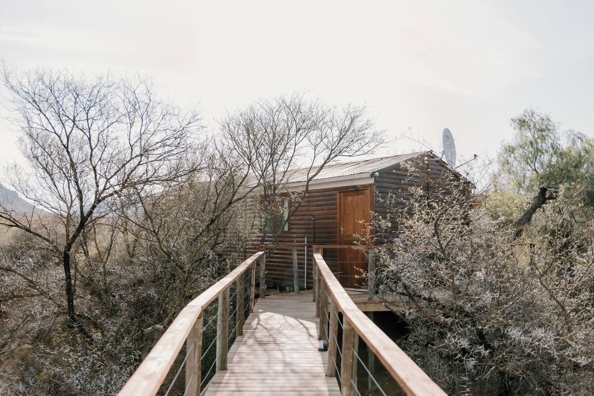 House (Rustic Log) | Terrace/patio