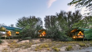 Un terrain de camping comprenant trois cabanes en bois, chacune dotée d’un porche et d’un intérieur éclairé, et entouré d’arbres et d’herbe sèche.