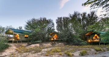 A campsite with three wooden cabins, each with a porch and a lit interior, surrounded by trees and dry grass.