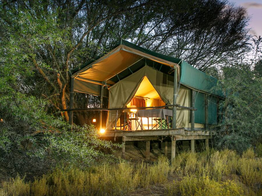 A tented accommodation with a covered deck and a table set for dining, surrounded by natural vegetation.