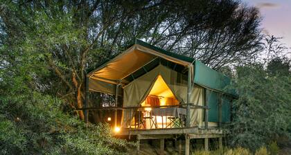 Chandelier Game Lodge