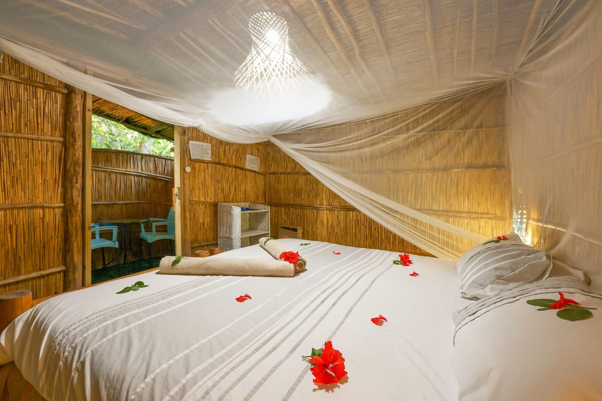 A room with a bed, a TV, and a mosquito net.