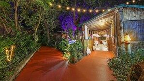 A pathway leading to a reception area with a sign, surrounded by lush greenery and string lights. - Gala-Gala Eco Resort (Ponta d'Ouro)