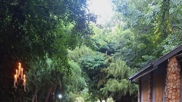 Serveert ontbijt, lunch en diner