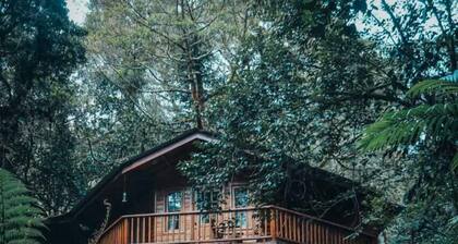 Los Quetzales Ecolodge & Spa