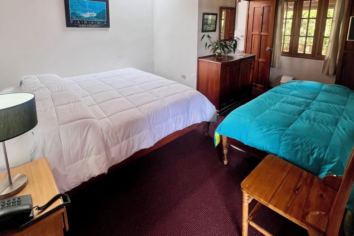 A room with two beds, a wooden ceiling, a framed picture on the wall, and a window with curtains.