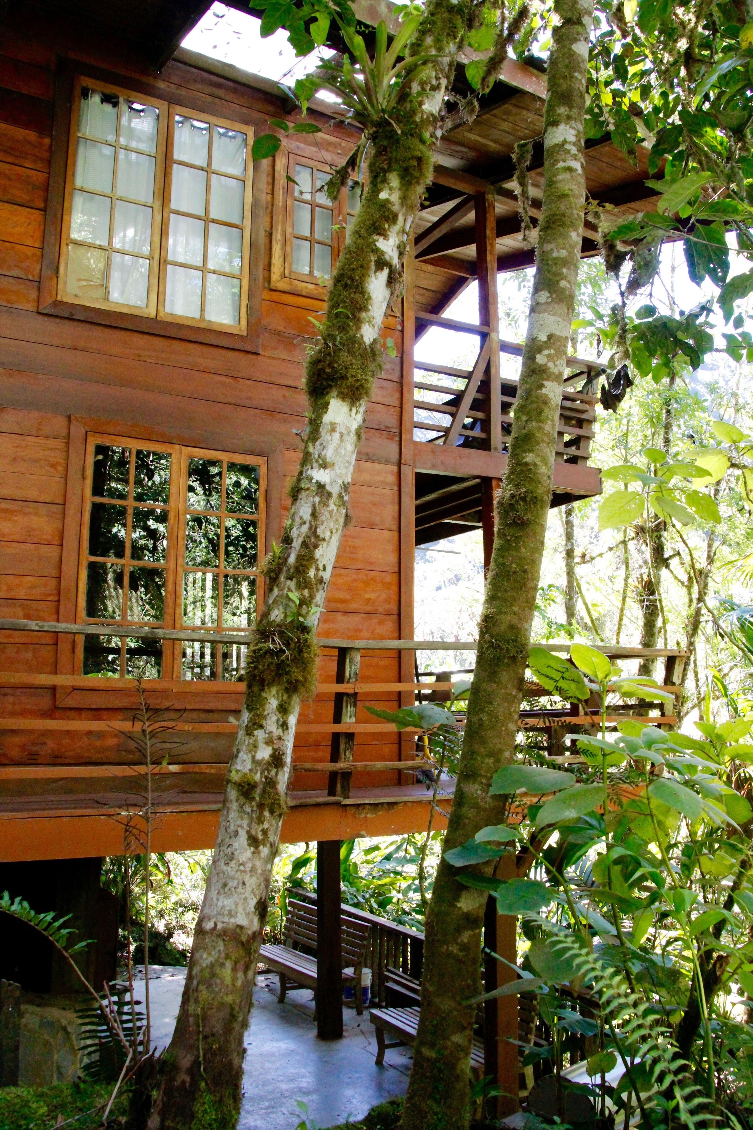 Una cabaña de madera con ventanas grandes, un balcón y una escalera que lleva a un nivel superior.