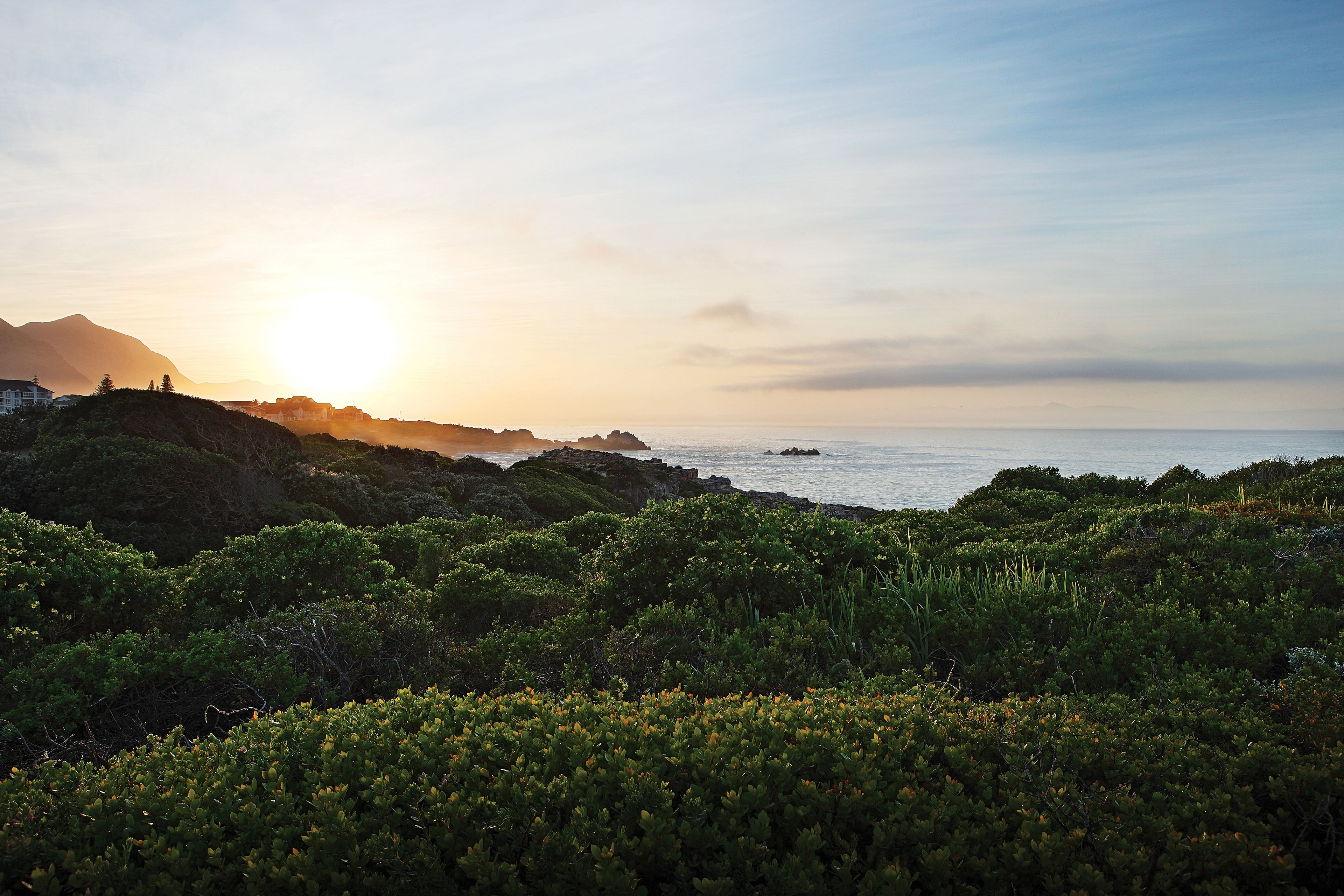 A coastal landscape with dense greenery and a view of the sea.