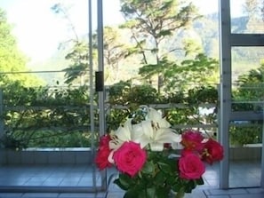 View from room