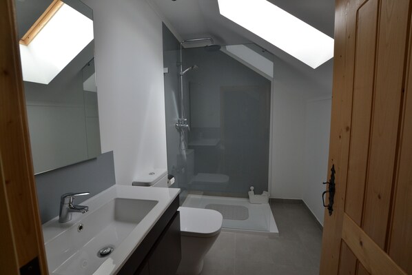 Un baño moderno con tragaluz, ducha y lavamanos.