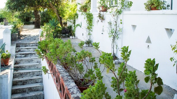 A white building with a covered staircase and potted plants. - Casa das Rendufas (Torres Novas)