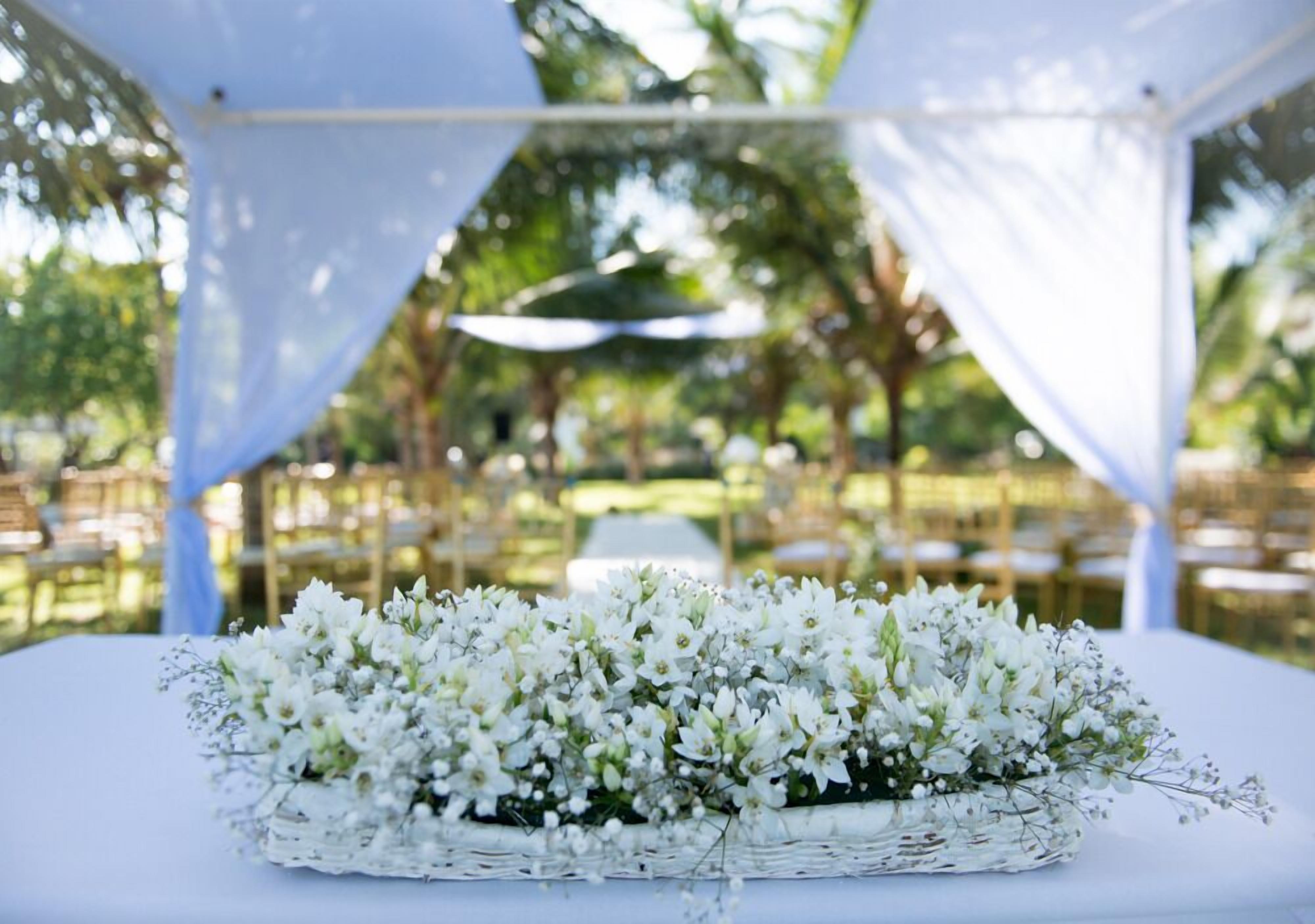 outdoor wedding area