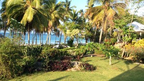 A tropical garden with palm trees, a grassy area, and a view of the sea. - Casa Lilly B&B Cabarete (Cabarete)