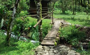 Vistas desde la habitación