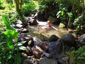 A natural water feature with rocks and greenery. - Mindo Eco chalet (Mindo)