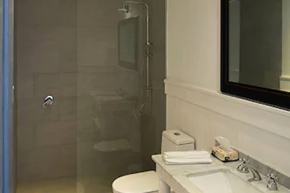 shower, rainfall showerhead, free toiletries, hair dryer