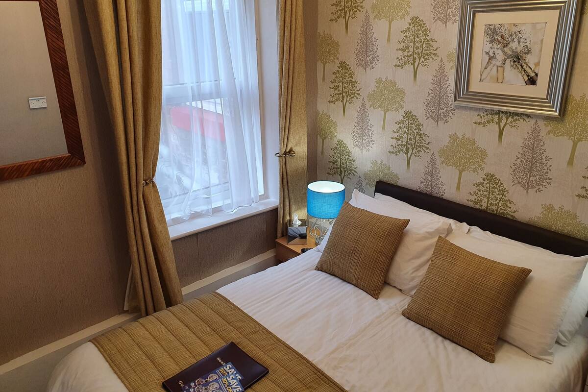 A hotel room with a bed, a window with sheer curtains, a nightstand with a lamp, and a wall with a tree pattern.