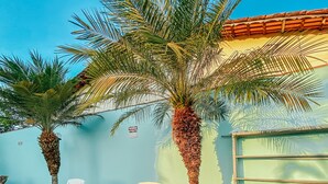 Un espace patio doté d’un sol en pierre, de deux fauteuils blancs et d’un palmier.