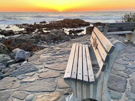 A wooden bench with a plaque on the backrest, situated on a stone-paved walkway by the sea.