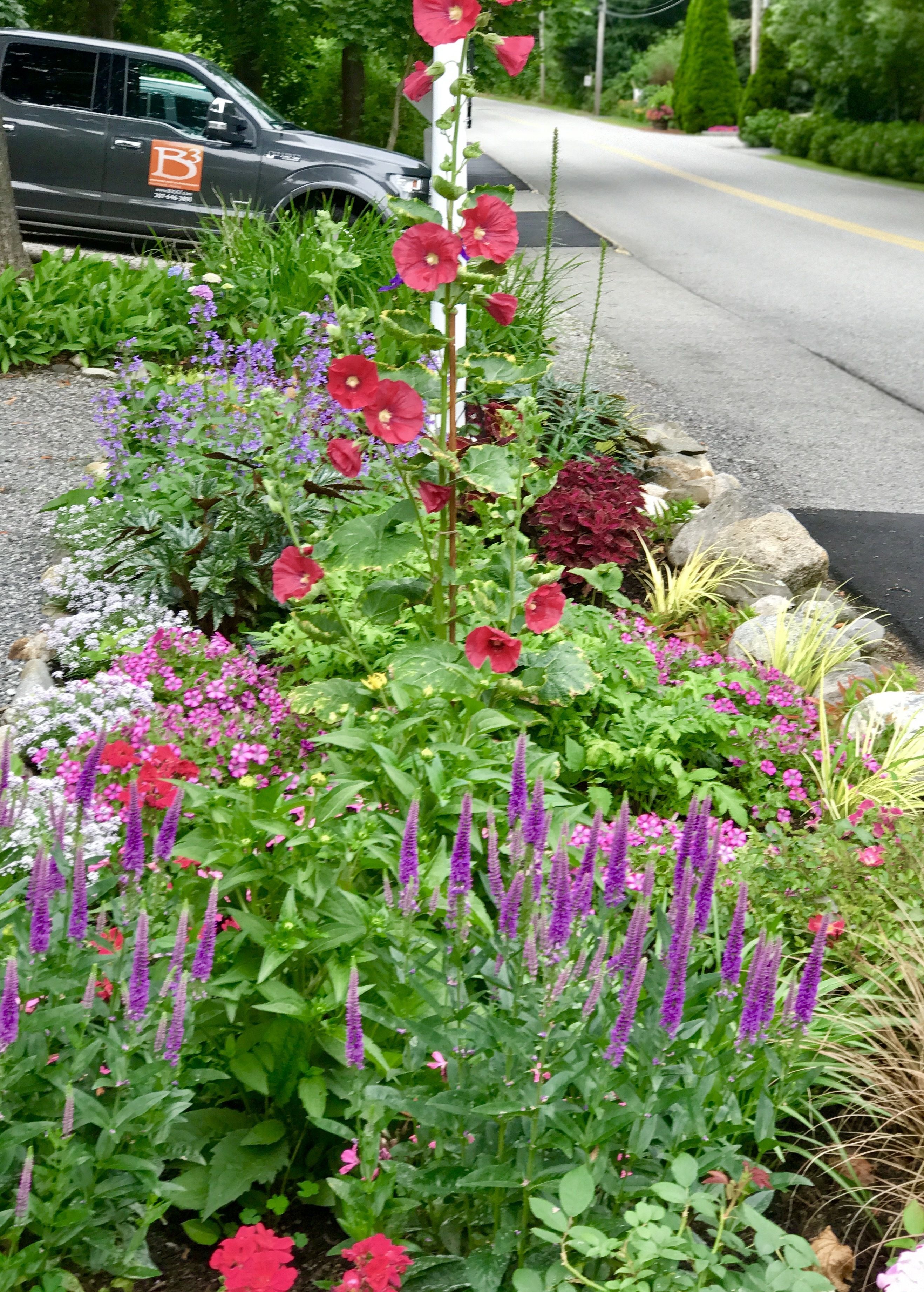 A garden with various flowers and a parked car.
