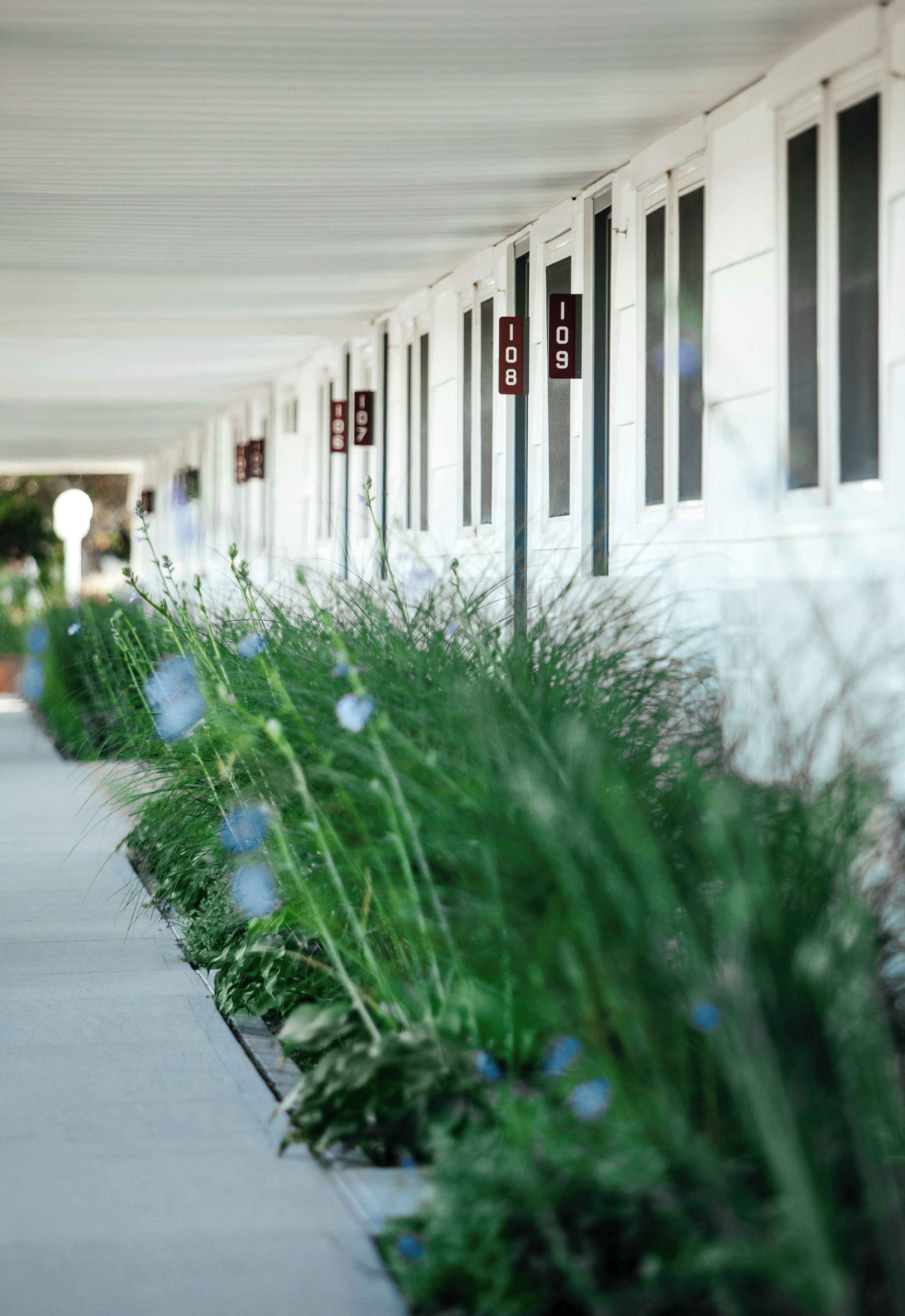 A row of hotel rooms with numbers on the doors, a covered walkway, and overgrown vegetation.