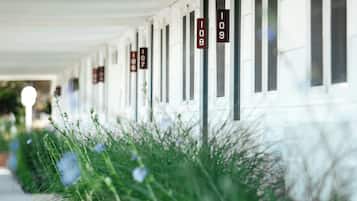 A row of hotel rooms with numbers on the doors, a covered walkway, and overgrown vegetation.