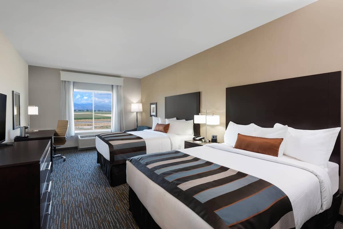 Premium bedding, pillow-top beds, in-room safe, desk