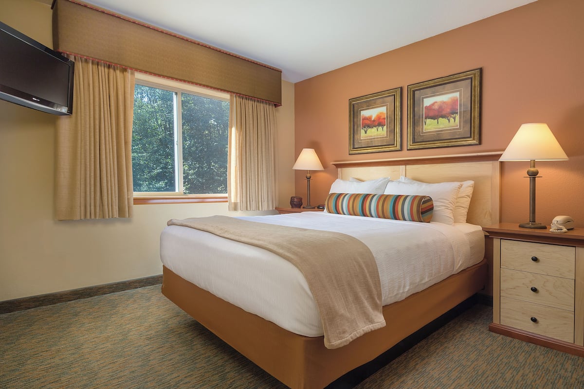 A hotel room with a large bed, two bedside lamps, a TV, and two framed paintings on the wall.