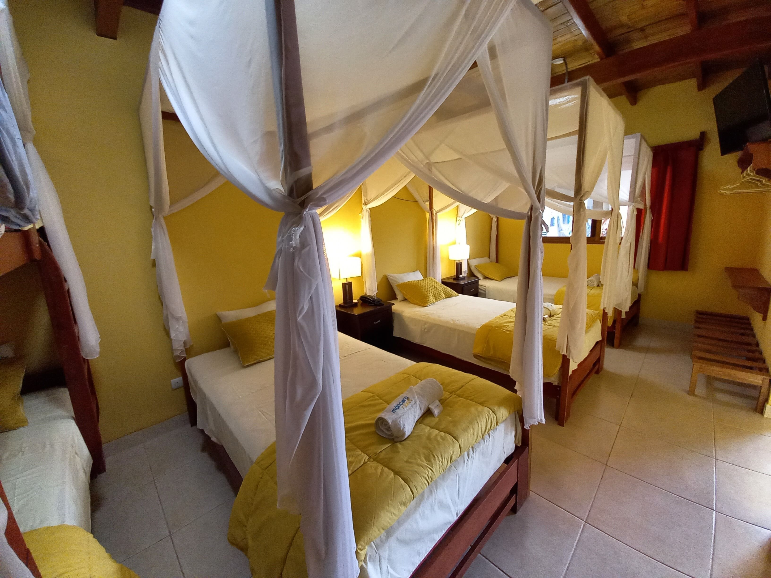 family room, terrace, pool view | in-room safe, desk, free wifi, bed sheets