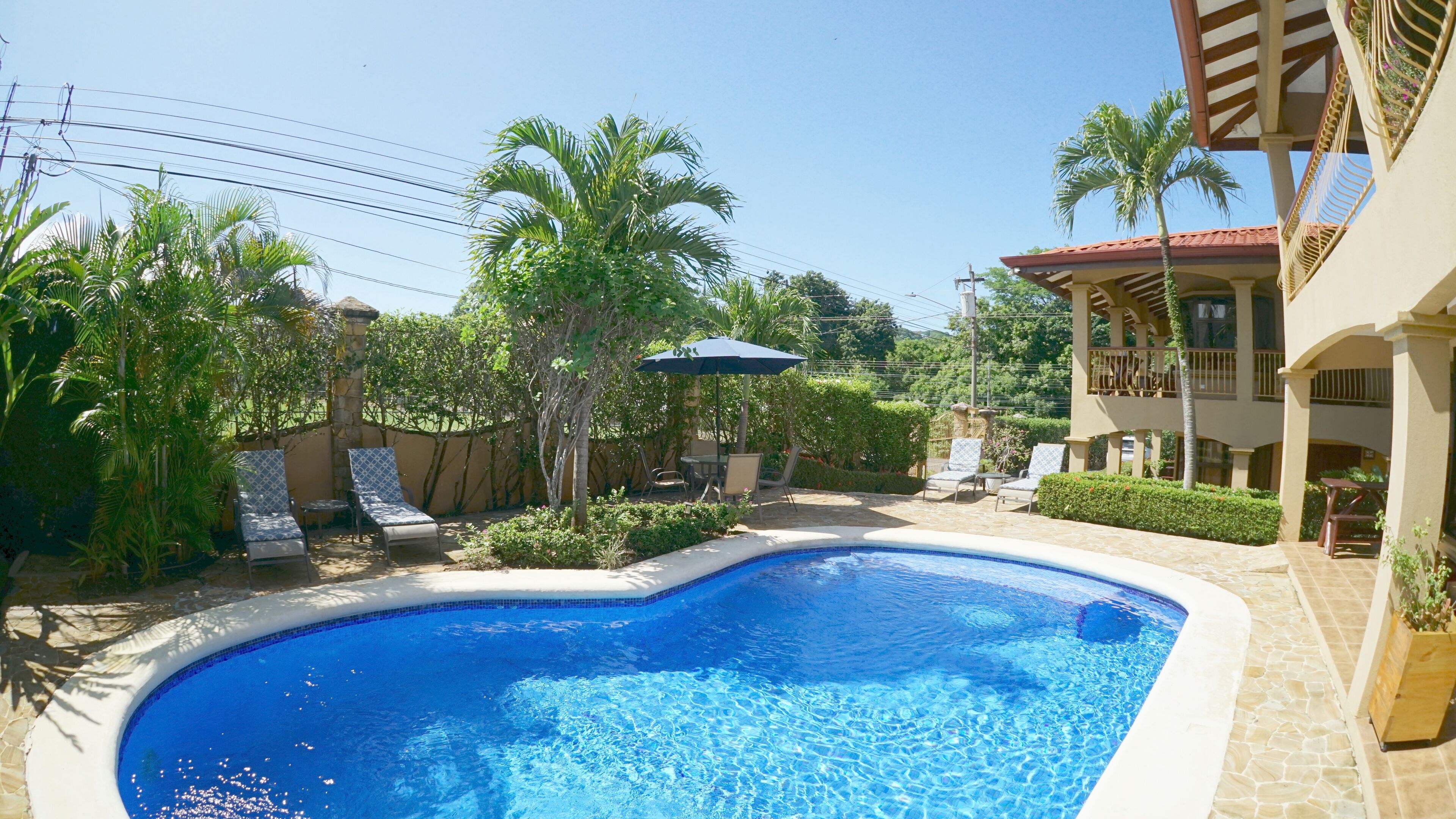 A swimming pool surrounded by lounge chairs and umbrellas, with a stone wall and palm trees in the background.