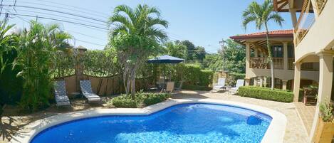 A swimming pool surrounded by lounge chairs and umbrellas, with a stone wall and palm trees in the background.