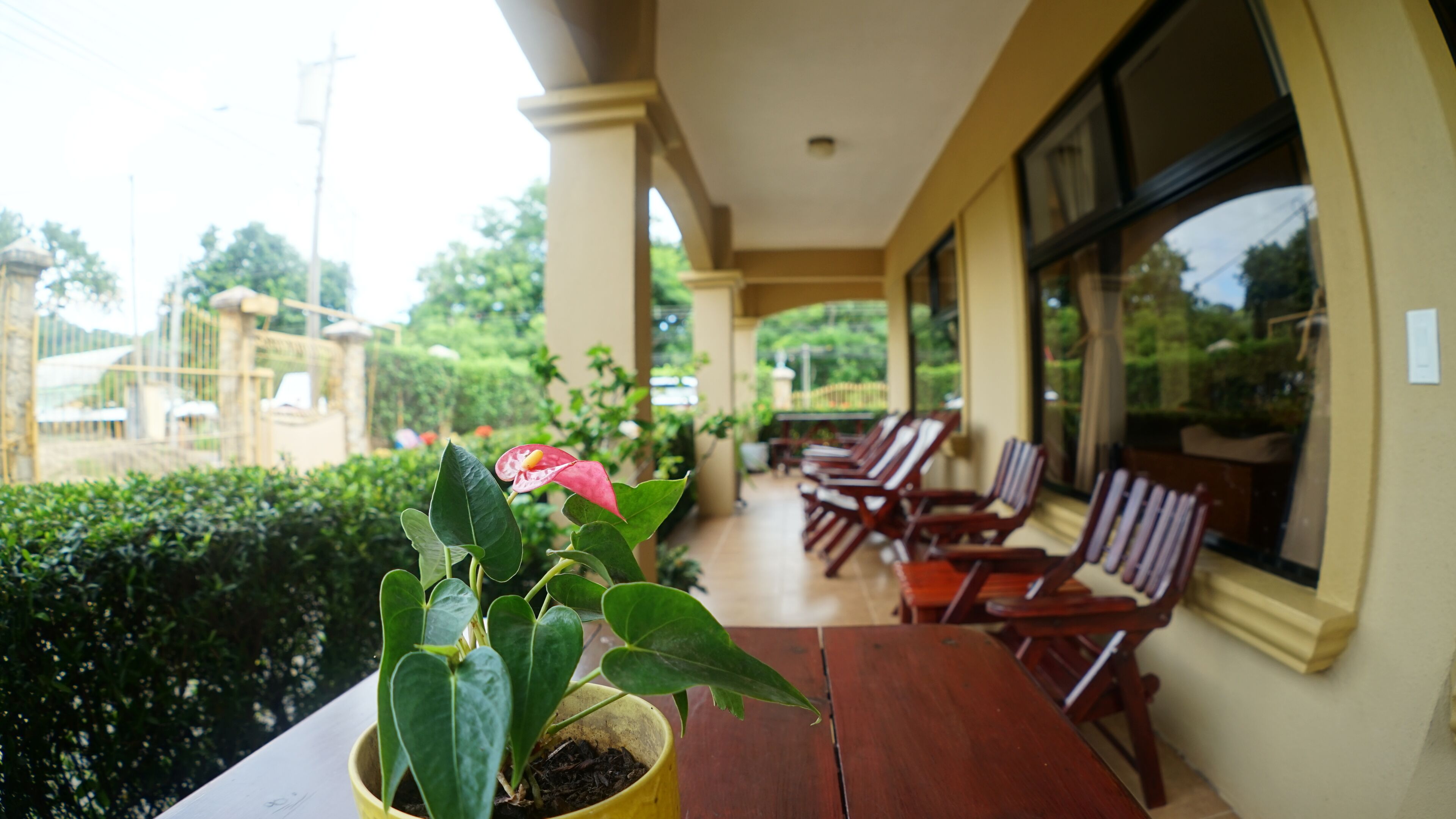 A covered outdoor seating area with wooden tables and chairs, a potted plant with green leaves and a pink flower, and a view of a garden with a fence and trees.