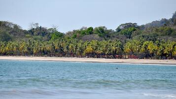 ชายหาด