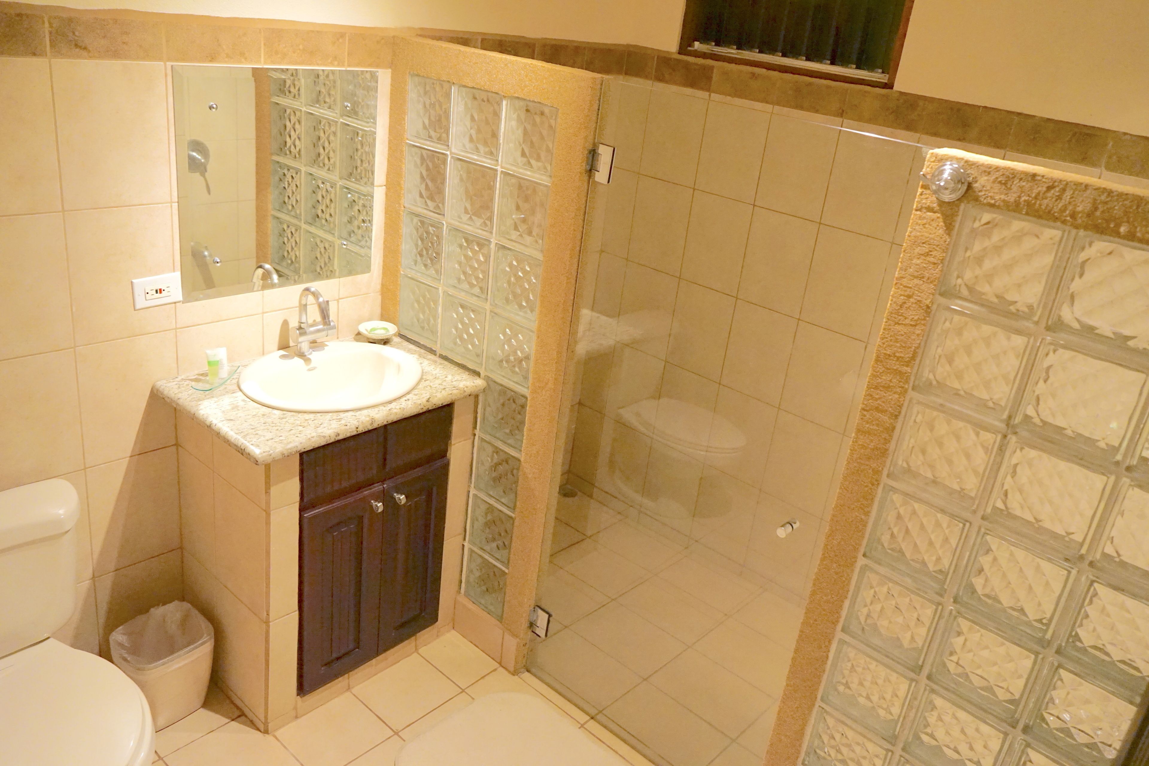 A bathroom with a sink, mirror, toilet, and shower area.