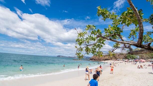 A beach with clear skies, people swimming and sunbathing, and a tree with green leaves. - Guanacaste Lodge (Cabo Velas)