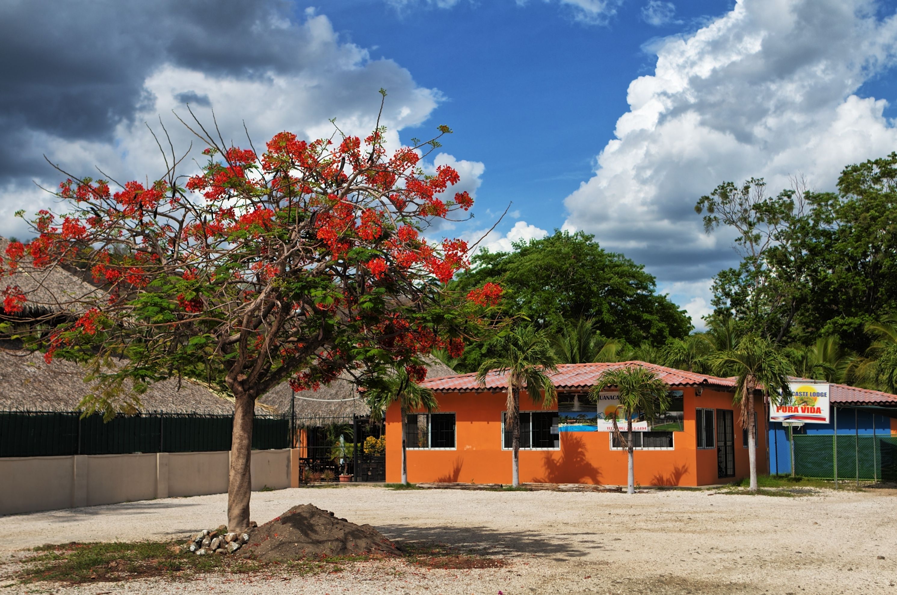 A building with a red roof and a sign that reads "PURA VIDA".