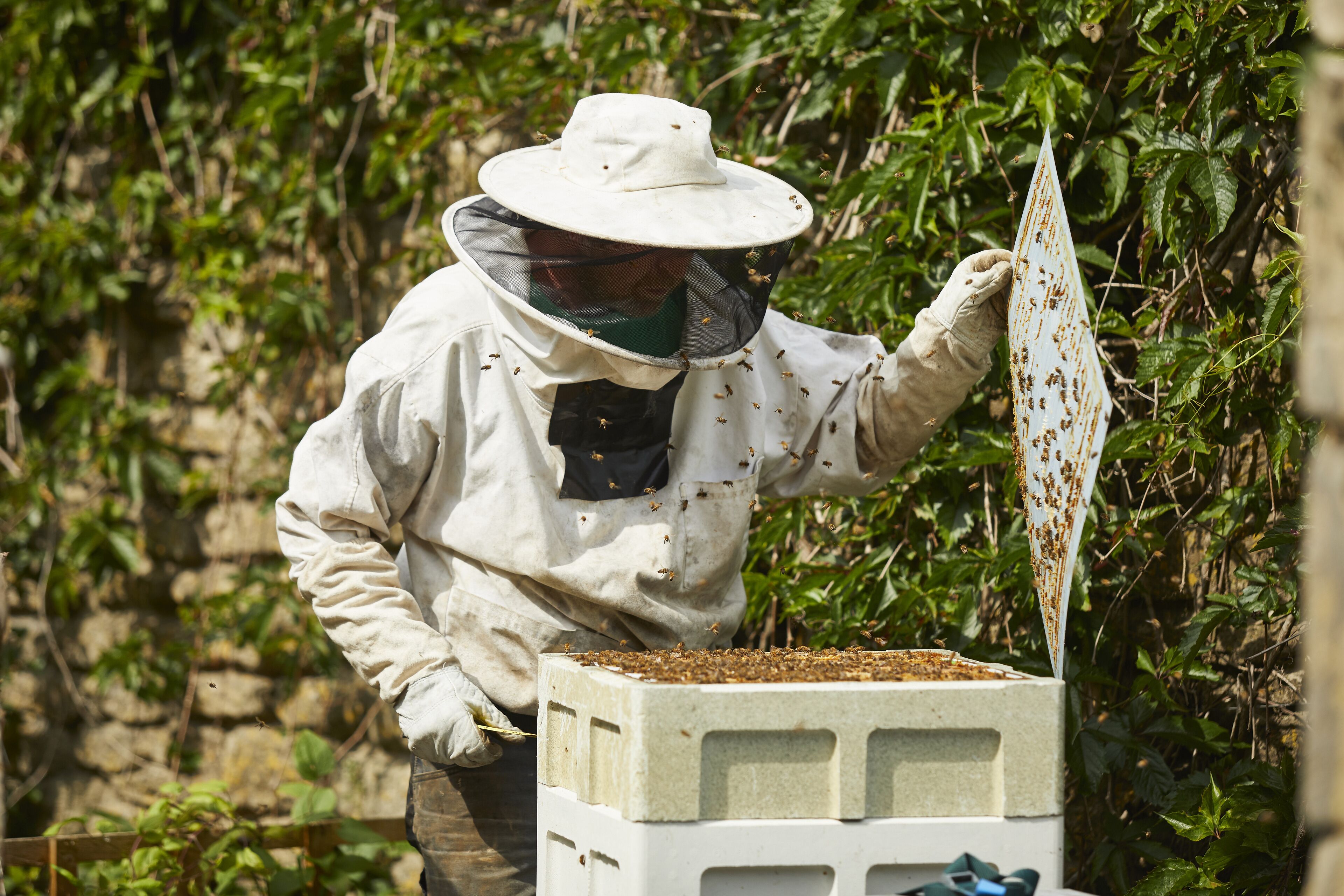 A person in protective clothing handling a beehive.
