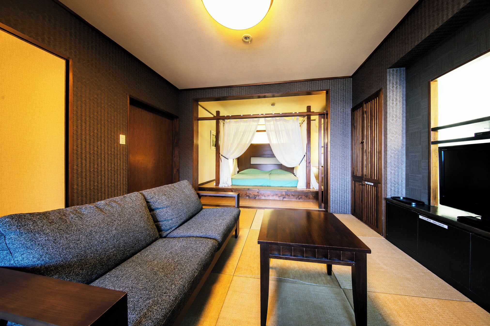 A room with a sofa, a table, a TV, and a futon bed with a canopy.