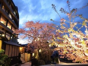 A building with a traditional architectural style, a cherry blossom tree in full bloom, and a stone lantern.