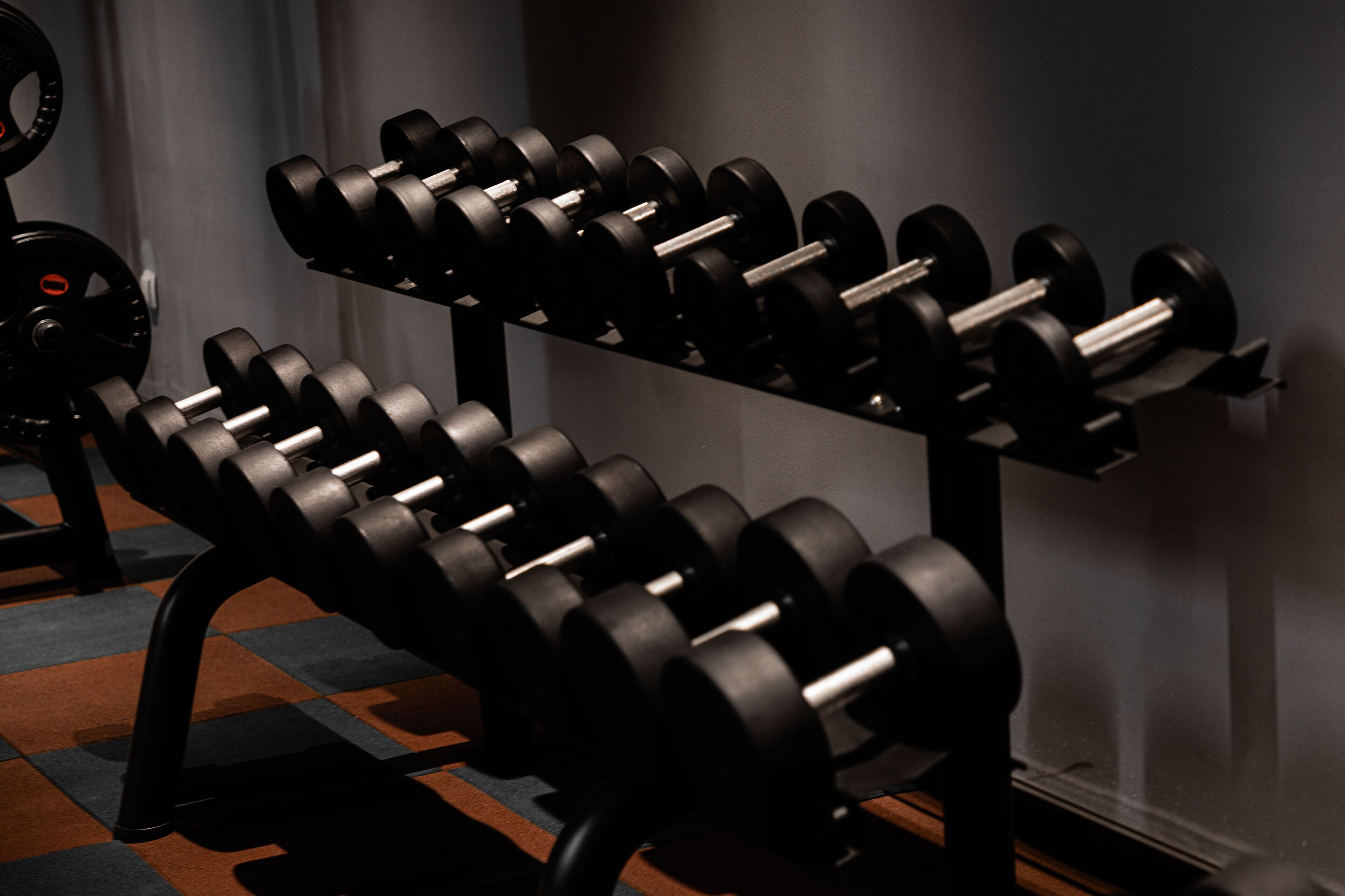 A gym with dumbbells and a weight bench.
