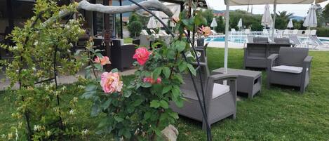 Uma área de pátio com móveis de exterior, piscina e um arbusto de rosas.